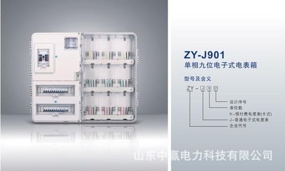 【單相九位電表箱廠家直銷,山東濟南三相單表位計量箱】價格,廠家,圖片,配電箱,山東中贏電力科技-