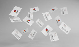 非揚絲路企業VI形象設計與品牌策劃方案